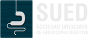 SUED Logo